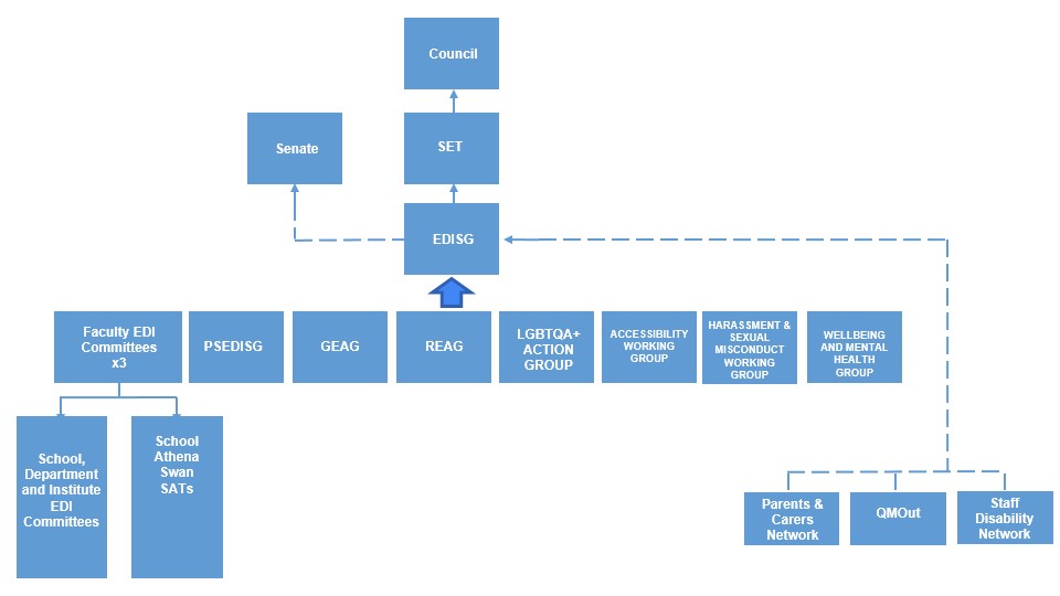 Diagram of the EDI Governance Structure